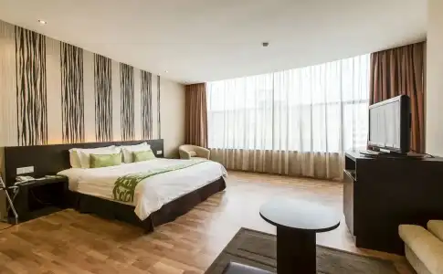 The LimeTree - 3