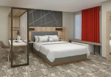 SpringHill Suites by Marriott Charlotte at Carowinds - 2