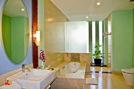 The Rani & Spa - 9