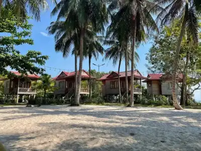 Cay Sao Phu Quoc - 9