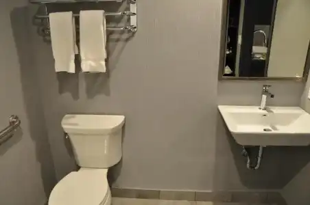Hôtel & Suites le Dauphin Québec - 103