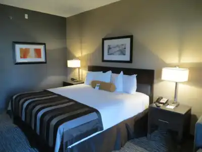 Hampton Inn by Hilton Los Angeles Airport - 52