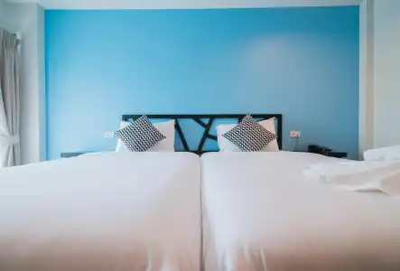 Sleep Whale (SHA Extra Plus) - 18