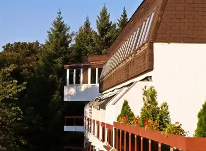 Lövér Sopron - 0
