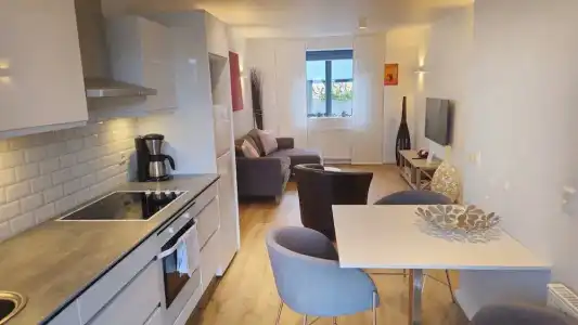 Reykjavik4You Apartments - 28