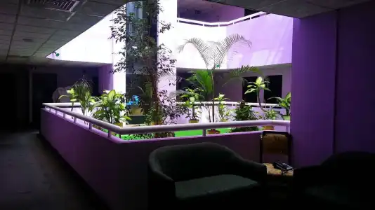 New Peninsula - 1