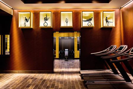 Prince de Galles, a Luxury Collection, Paris - 44