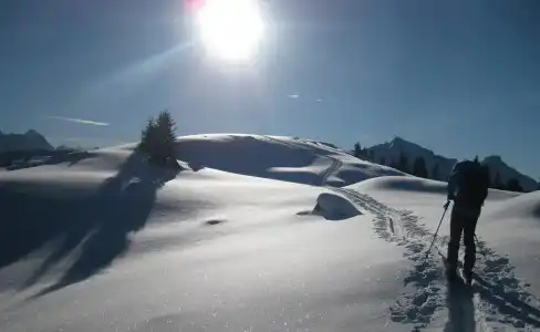 Pension Steiermark - 16