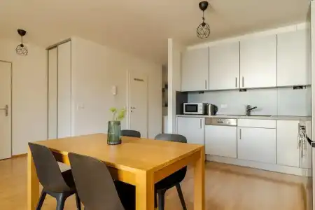 Business & Family Ambiente Apartments - 132