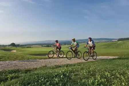 Best Western ApartBirnbachhöhe - 21