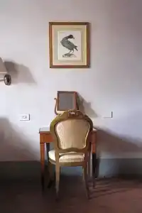 Palazzo Guadagni - 53
