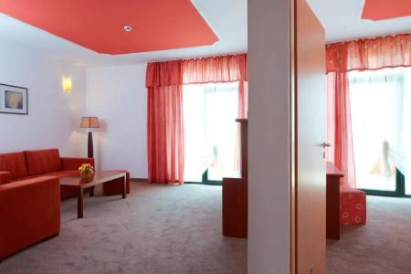 Mena Palace - All Inclusive - 60