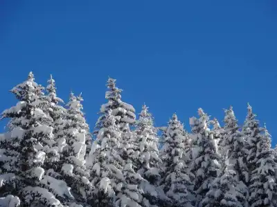 L'Aiglon - 27