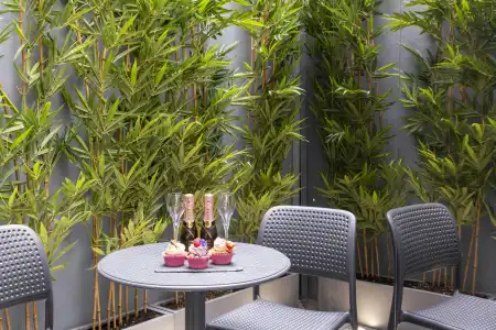 Eccleston Square - 18