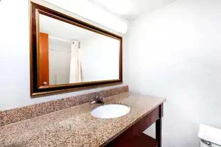Ramada Lansing and Conference Center - 42