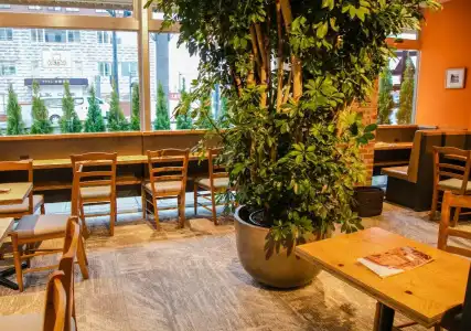 Four Points Flex by Sheraton Morioka - 18