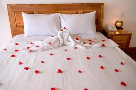 Rex and Apartment - 64