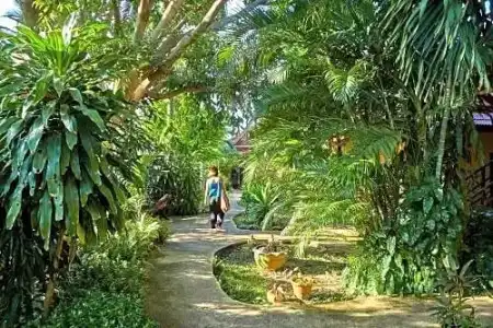 Natural Wing Health Spa & Resort - 49