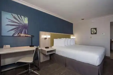 SureStay by Best Western Santa Monica - 93