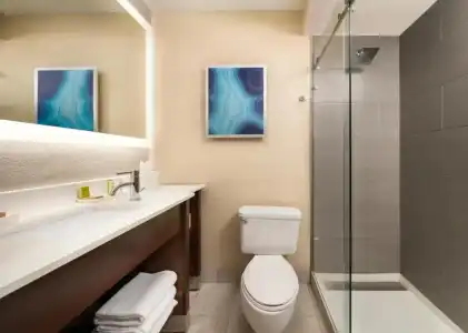 Hilton Clearwater Beach Resort & Spa - 43