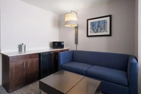 Holiday Inn Express St. Petersburg North (I-275) by IHG - 23