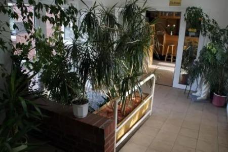 LandPagram-Frankfurt/Oder - 6