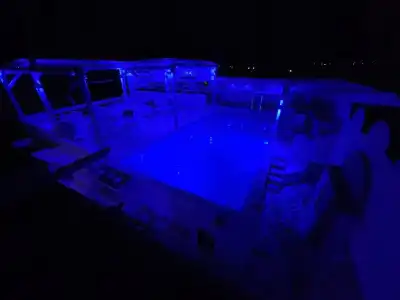 Nautilus - 8