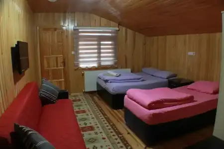Uzungol Resort - 49
