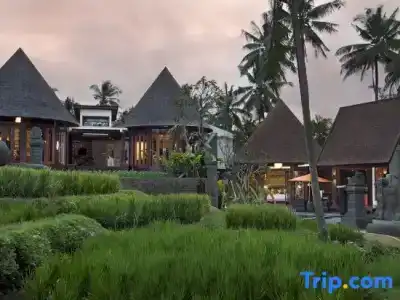 Green Field Resort - 102