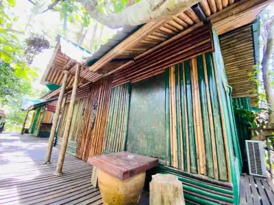 Khao Sok Tree House - 67