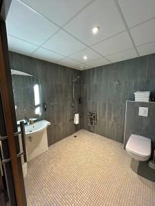 ibis Saint Malo La Madeleine - 95
