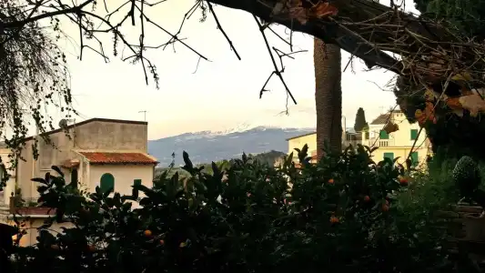 Medousa Suites - 0