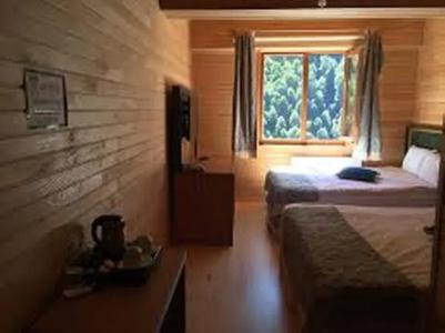 Ayder Doga Resort - 209
