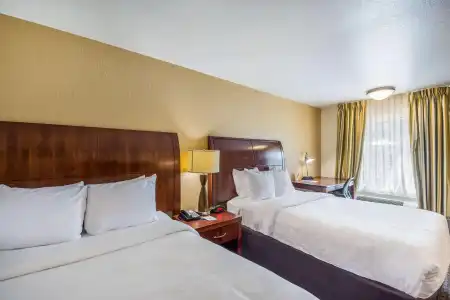 Clarion Inn & Suites Central Clearwater Beach - 7