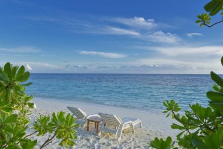 Angaga Island Resort and Spa - 15