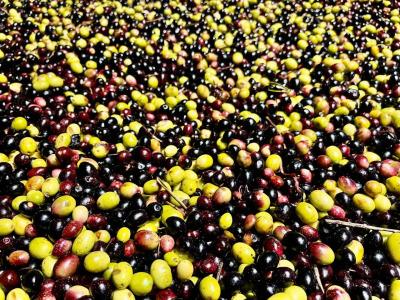 Riva Toscana Golf Resort & SPA - 10