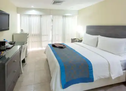 Centro Plaza Hodelpa - 4