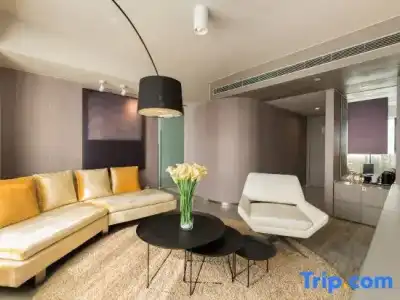Jinjiang Metropolo Hua Ting Guest House - 110