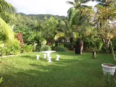 Castaway Lodge - 39