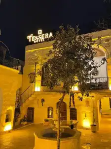 Tessera - 50