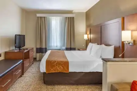 Comfort Suites Raleigh Walnut Creek - 52