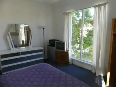 Wilshire Orange - 30