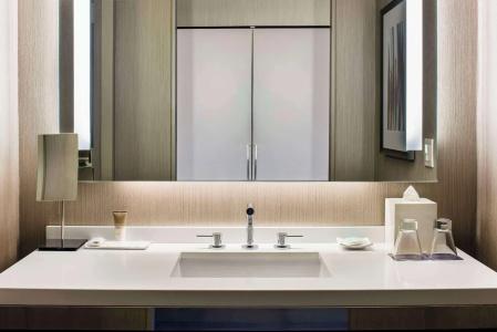 Hyatt Regency McCormick Place - 6