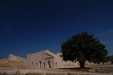 Kabak Avalon - 9