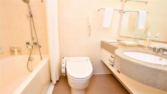 Holiday Inn ANA Sendai by IHG - 67
