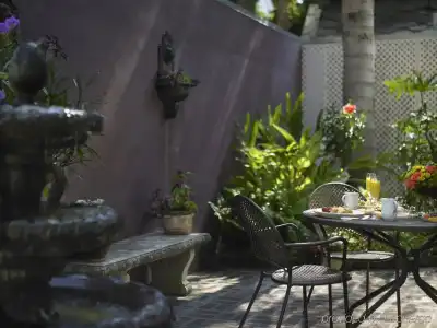 Maison Perrier Bed & Breakfast - 4