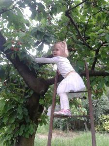 Maso Tobel Riva del Garda - 18