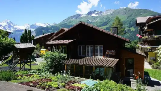 Alpenkräuter Bären - 82