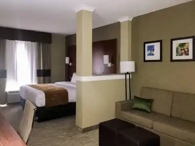 Comfort Suites University - 6