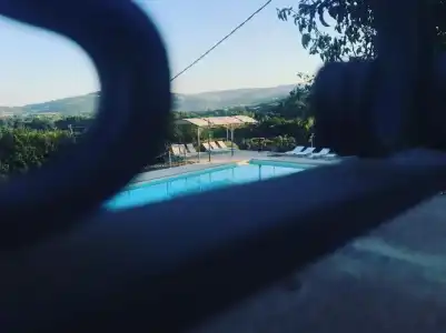 Agriturismo la Palazzetta di Assisi - 24